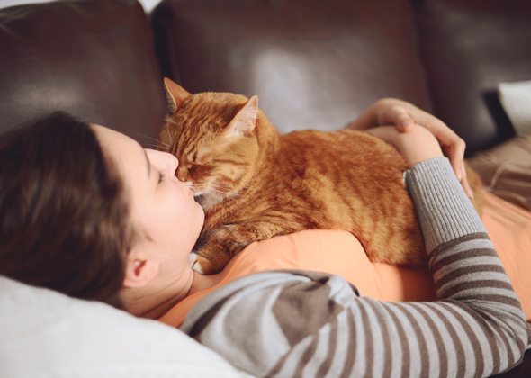 tại sao mèo thích ngủ với người